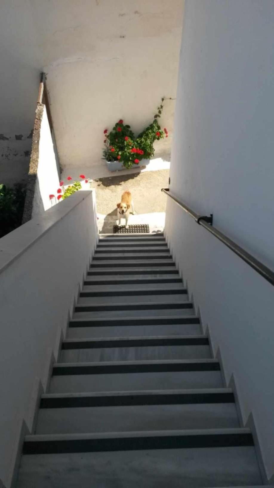Kostas Studios Apartments - Ενοικιαζόμενα Δωμάτια Με Κουζινάκι Myrina Eksteriør billede