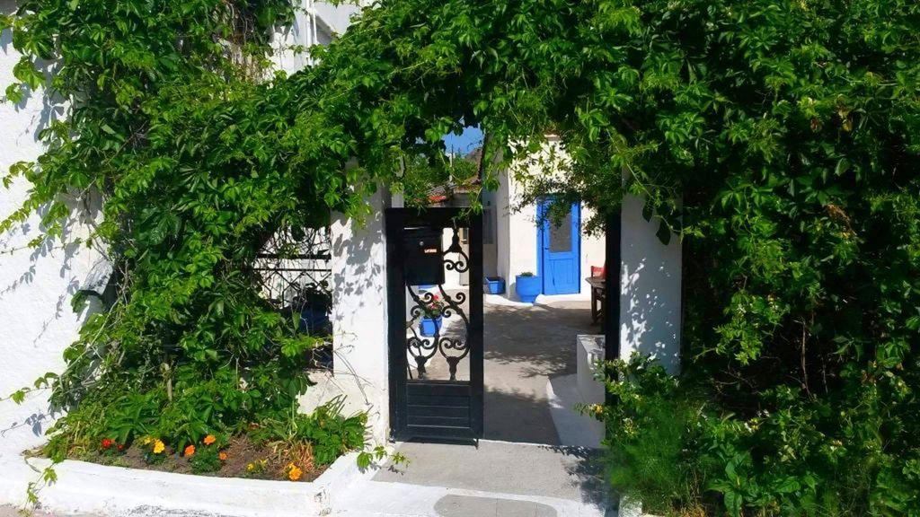 Kostas Studios Apartments - Ενοικιαζόμενα Δωμάτια Με Κουζινάκι Myrina Eksteriør billede